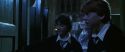 CS-Potterish_05833.jpg