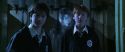 CS-Potterish_05837.jpg