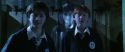 CS-Potterish_05838.jpg