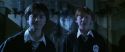 CS-Potterish_05840.jpg