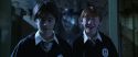 CS-Potterish_05854.jpg