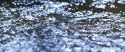CS-Potterish_05882.jpg