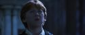 CS-Potterish_05927.jpg