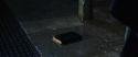 CS-Potterish_05966.jpg