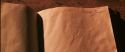 CS-Potterish_06111.jpg