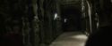 CS-Potterish_06293.jpg