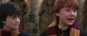 CS-Potterish_06426.jpg