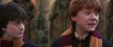 CS-Potterish_06427.jpg