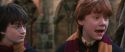 CS-Potterish_06428.jpg