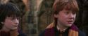 CS-Potterish_06429.jpg