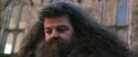 CS-Potterish_06440.jpg