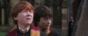 CS-Potterish_06441.jpg