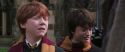 CS-Potterish_06442.jpg