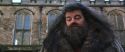 CS-Potterish_06443.jpg
