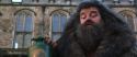 CS-Potterish_06445.jpg