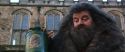 CS-Potterish_06446.jpg