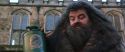 CS-Potterish_06447.jpg