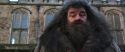 CS-Potterish_06451.jpg
