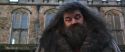 CS-Potterish_06452.jpg