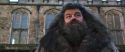 CS-Potterish_06453.jpg