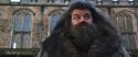 CS-Potterish_06454.jpg