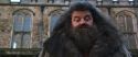 CS-Potterish_06455.jpg