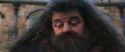 CS-Potterish_06459.jpg