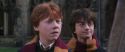 CS-Potterish_06461.jpg