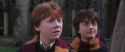 CS-Potterish_06462.jpg