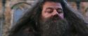 CS-Potterish_06465.jpg