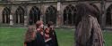 CS-Potterish_06472.jpg