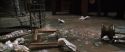 CS-Potterish_06497.jpg