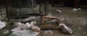 CS-Potterish_06498.jpg