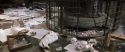 CS-Potterish_06500.jpg