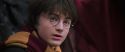 CS-Potterish_06529.jpg