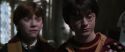 CS-Potterish_06603.jpg