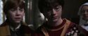 CS-Potterish_06604.jpg