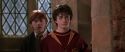 CS-Potterish_06638.jpg
