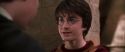 CS-Potterish_06668.jpg