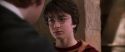 CS-Potterish_06676.jpg