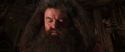 CS-Potterish_06723.jpg