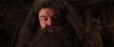 CS-Potterish_06724.jpg