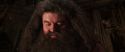 CS-Potterish_06725.jpg