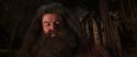 CS-Potterish_06745.jpg