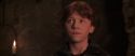 CS-Potterish_06746.jpg
