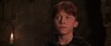 CS-Potterish_06747.jpg