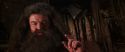 CS-Potterish_06748.jpg