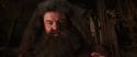 CS-Potterish_06749.jpg