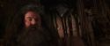 CS-Potterish_06752.jpg