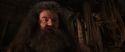 CS-Potterish_06753.jpg